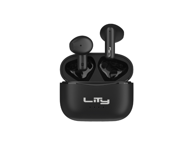 T10 (1)