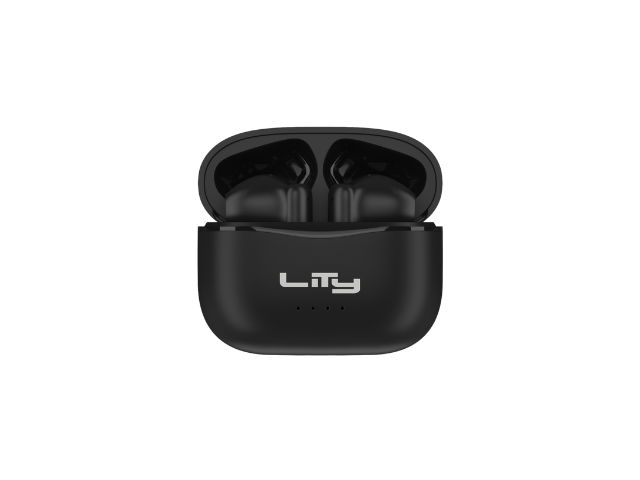 T10 (3)