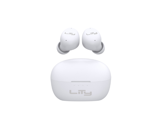 T13 (6)