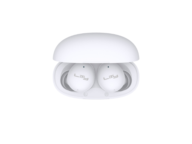 T13 (8)
