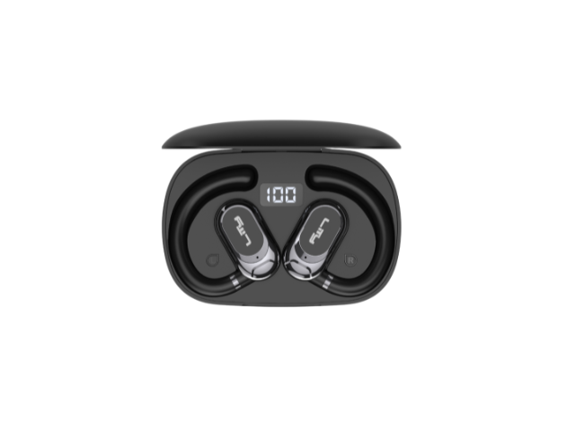 T16 (2)